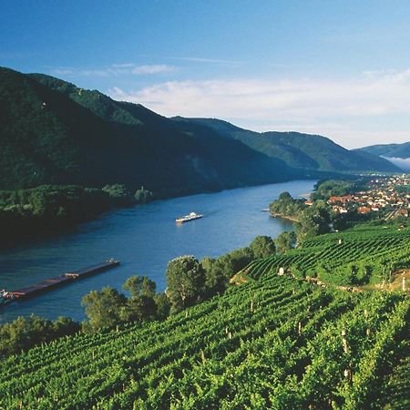 In Der Wachau Apartment Weissenkirchen in der Wachau Ngoại thất bức ảnh